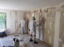 Why You Should Choose Our Mold Remediation Services in Rice Lake, WI